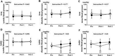 Acute Effects of Low-Intensity Electrical Stimulation on Segmental Arterial Stiffness